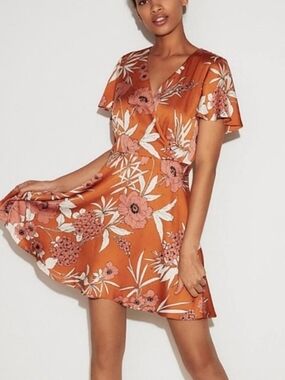 EXPRESS Flutter Sleeve Dress